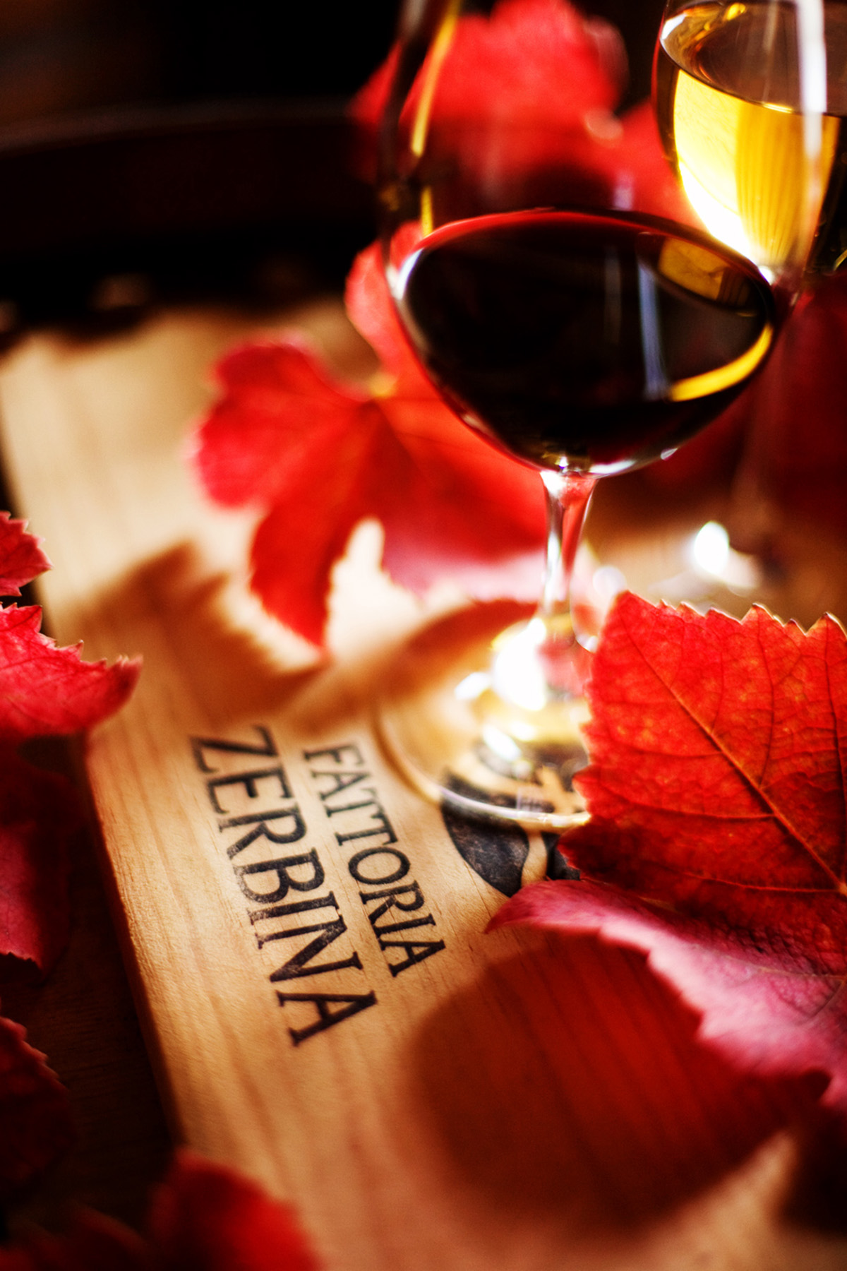 wine_caldo9