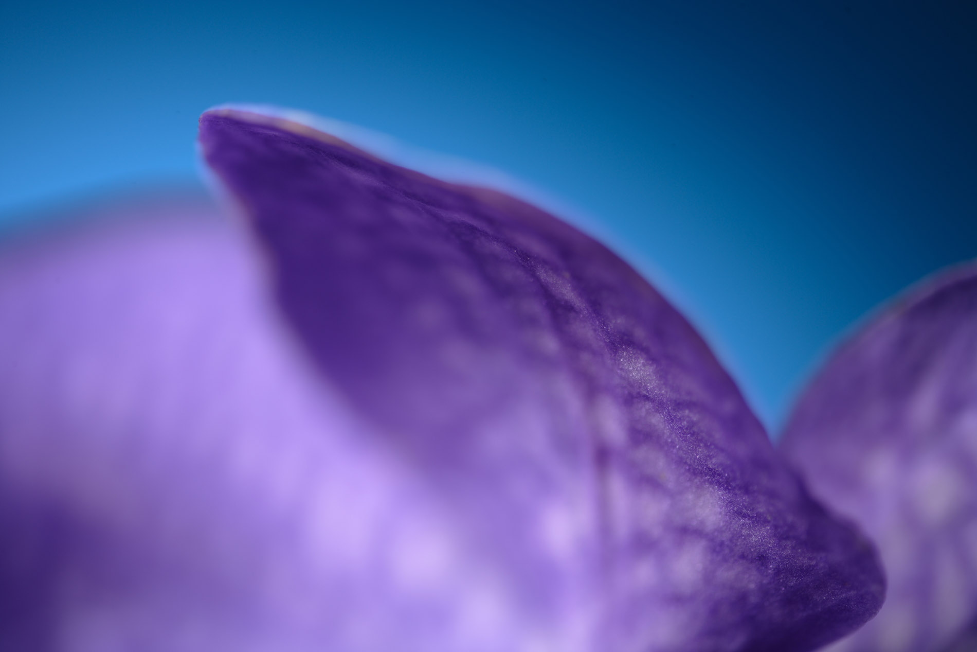STILL13_1