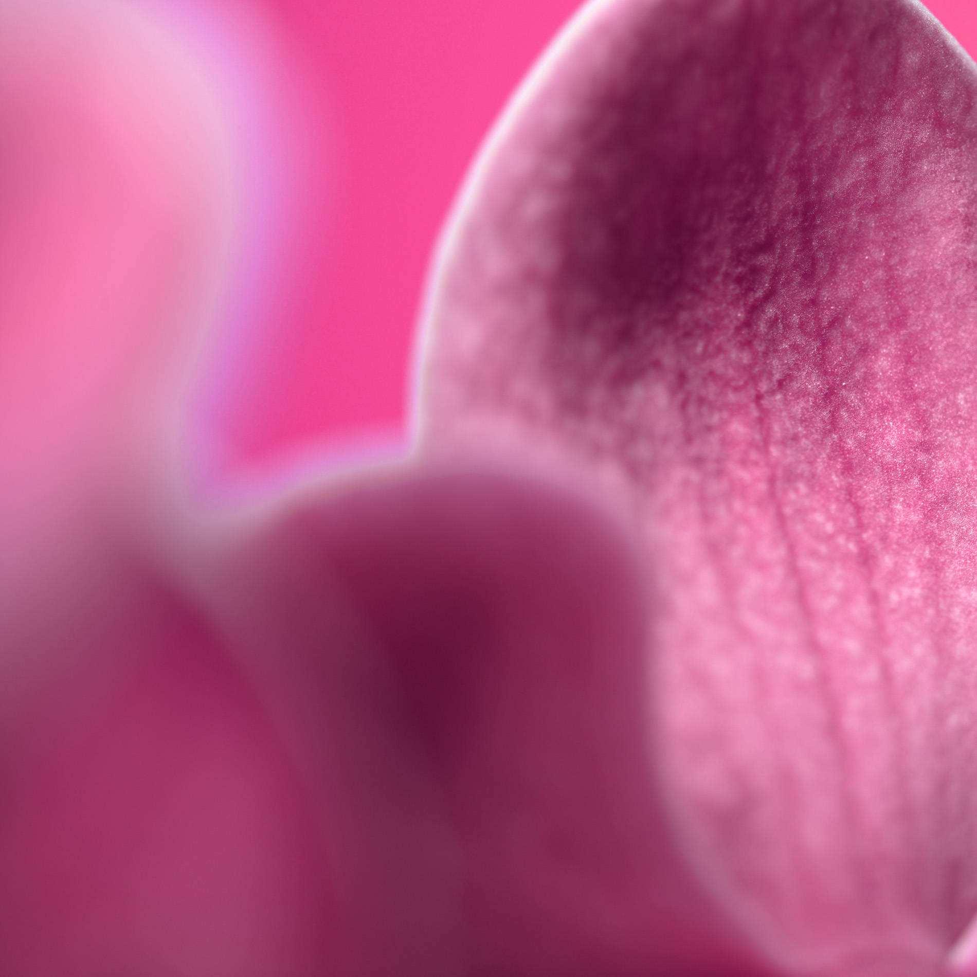 STILL13_5
