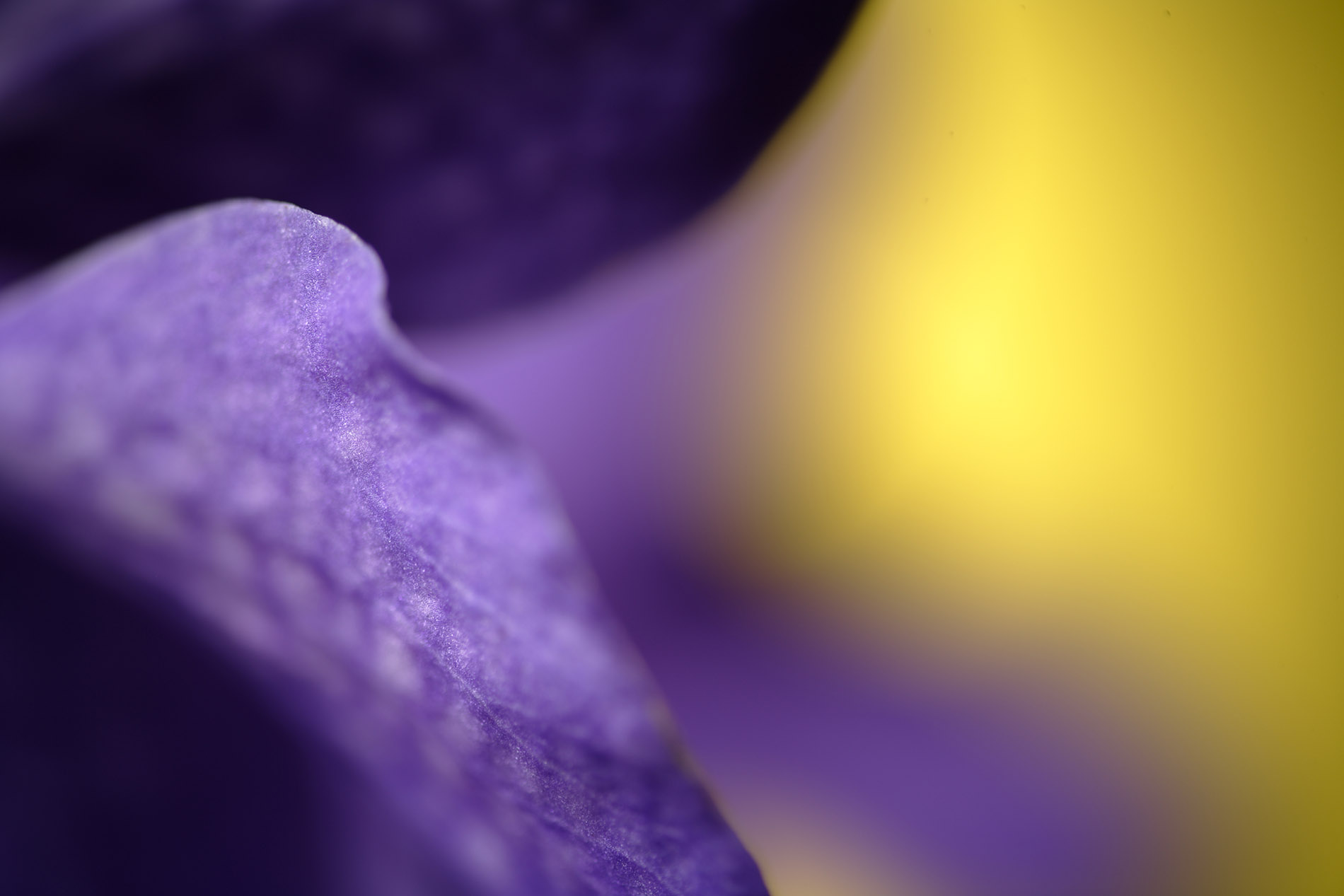 STILL13_7