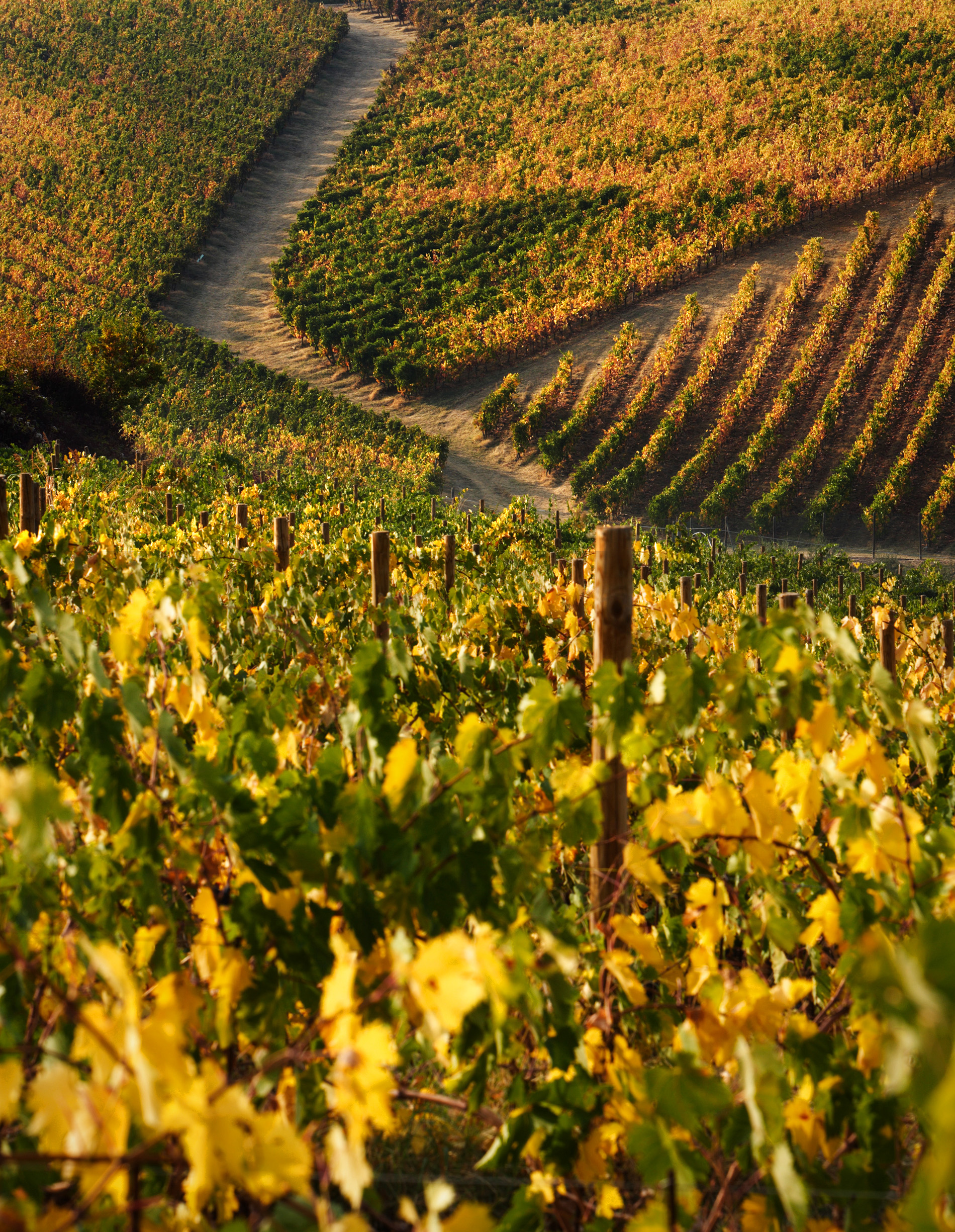 WINE3_4